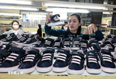 Vietnam - U.S. economic ties thrive as bilateral relations enter new chapter